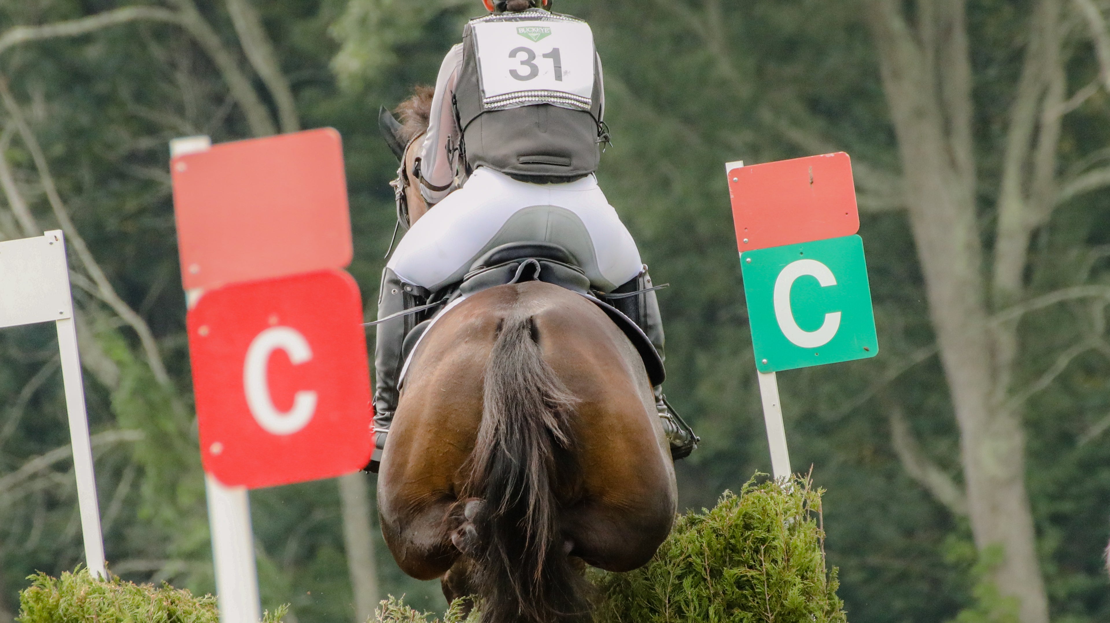 Air Vest vs. Body Protector - Which Is Safer?