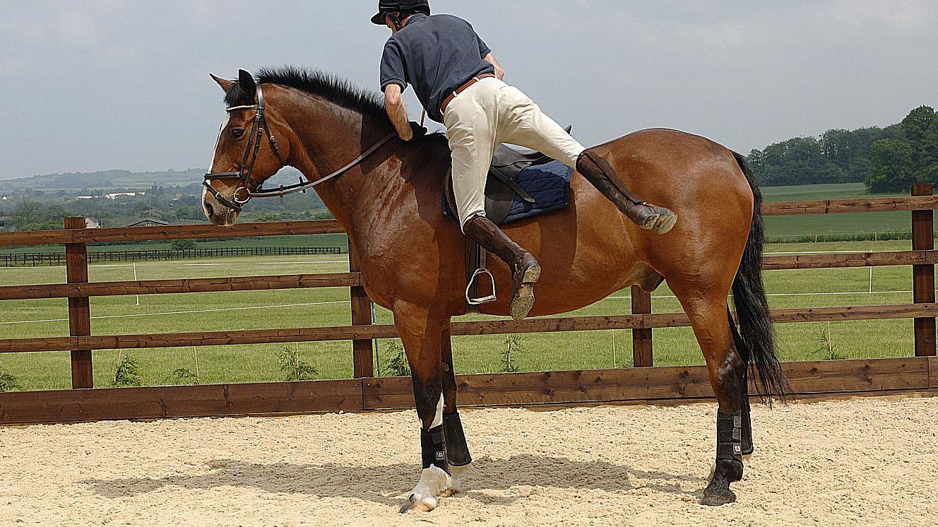 How to Properly Dismount, ESPECIALLY When Wearing an Equestrian Air Vest