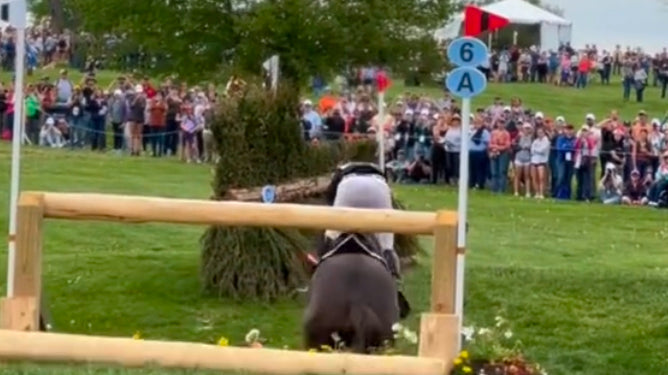 Still Worried About the Sound of an Equestrian Air Vest?