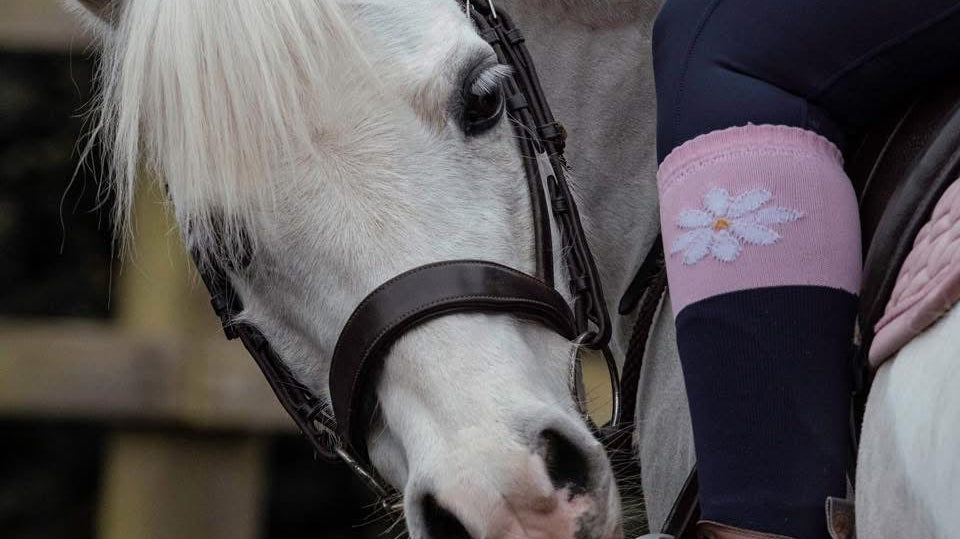 USEF & USPC Peacock Stirrup Ban