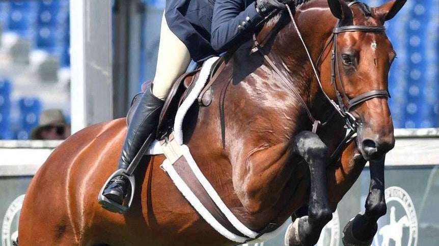 Getting the Word Out About Equestrian Air Vests - What They Can & Can't Do