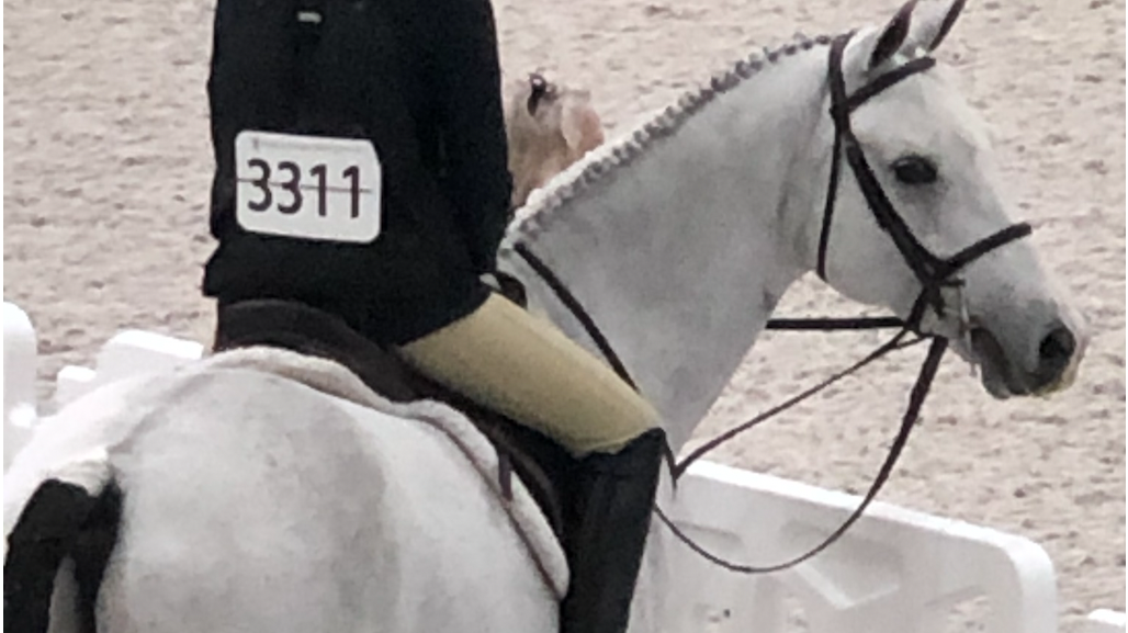 Should I Wear My Equestrian Air Vest Over or Under My Show Coat?