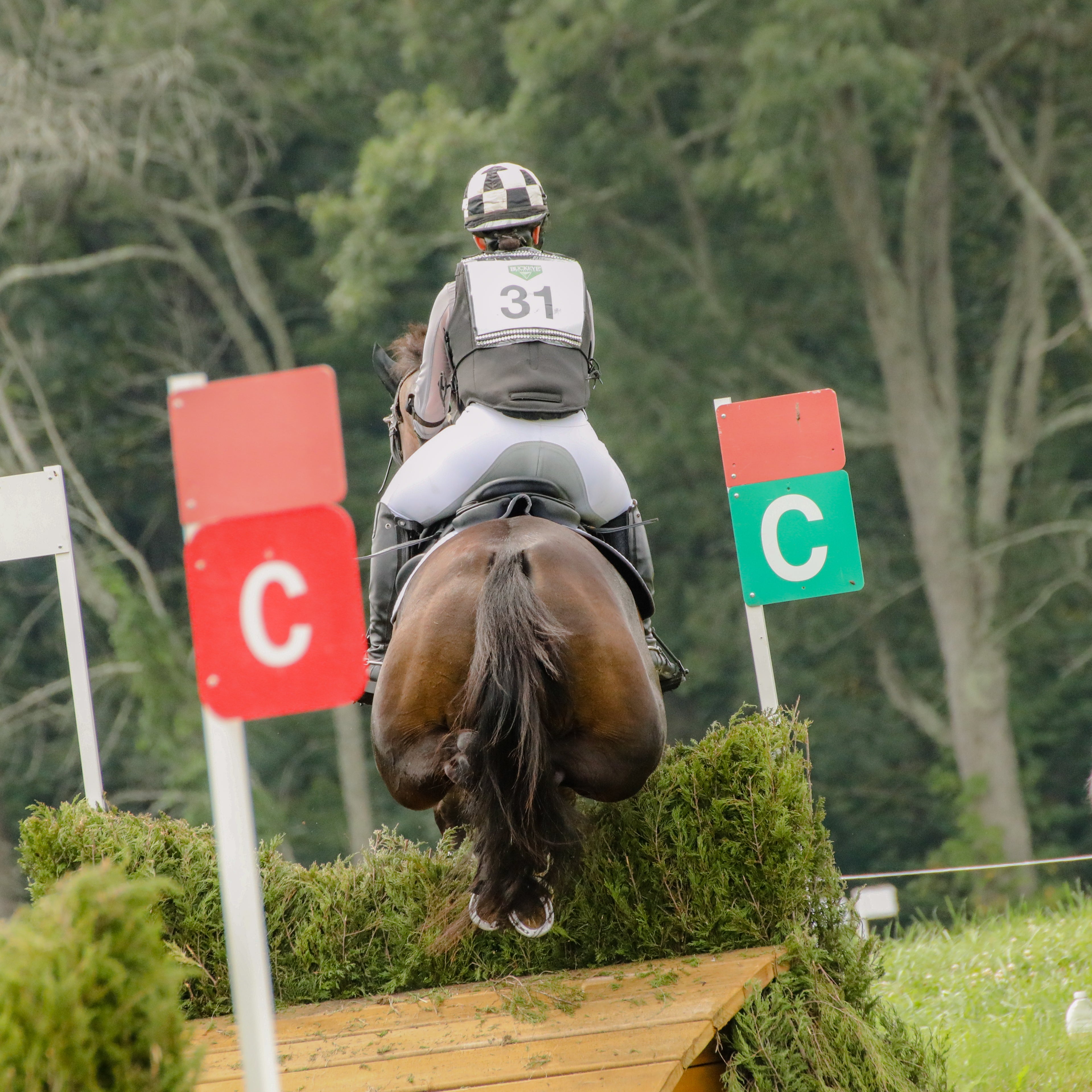 Air Vest vs. Body Protector - Which Is Safer?