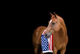 Memorial Day Sale