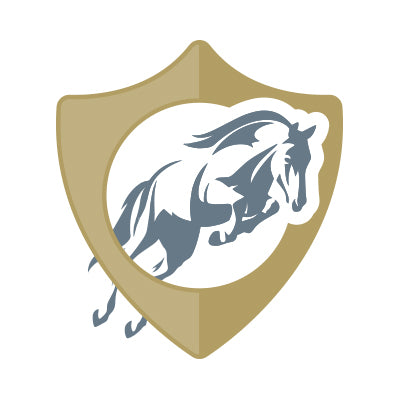 Ride EquiSafe