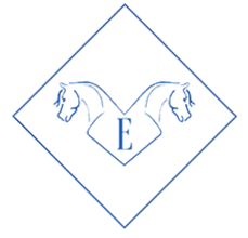 Equisite Elements of Style