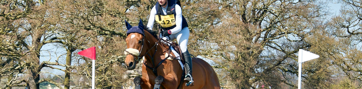 Safety Standards – Ride EquiSafe