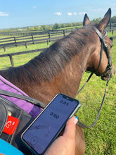 Load image into Gallery viewer, EquineTrac Sensor
